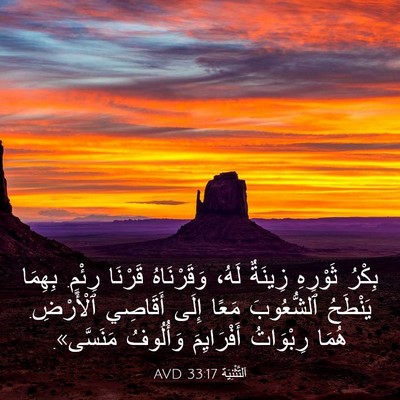 Picture 03 - اَلتَّثْنِيَة 33:17 AVD - بِكْرُ ثَوْرِهِ زِينَةٌ - Bible Verse Picture