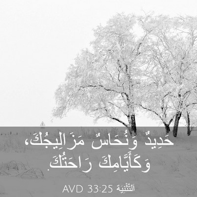 Picture 03 - اَلتَّثْنِيَة 33:25 AVD - حَدِيدٌ وَنُحَاسٌ - Bible Verse Picture