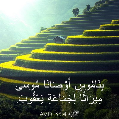 Picture 03 - اَلتَّثْنِيَة 33:4 AVD - بِنَامُوسٍ أَوْصَانَا - Bible Verse Picture