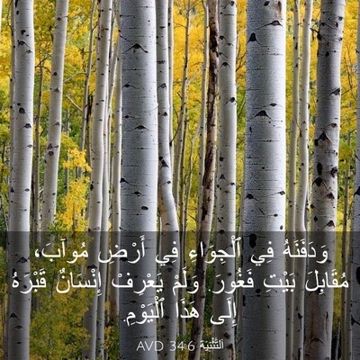 Picture 03 - اَلتَّثْنِيَة 34:6 AVD - وَدَفَنَهُ فِي ٱلْجِوَاءِ - Bible Verse Picture