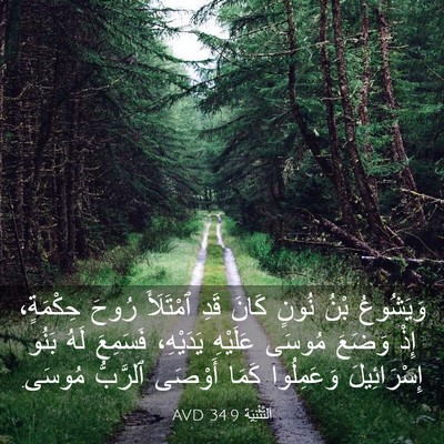 Picture 03 - اَلتَّثْنِيَة 34:9 AVD - وَيَشُوعُ بْنُ نُونٍ كَانَ - Bible Verse Picture