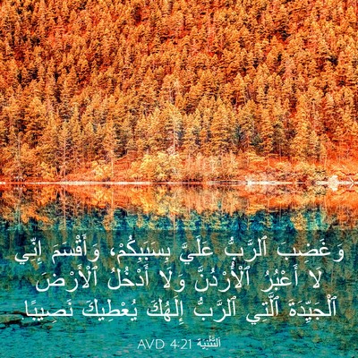 Picture 03 - اَلتَّثْنِيَة 4:21 AVD - وَغَضِبَ ٱلرَّبُّ عَلَيَّ - Bible Verse Picture