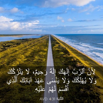 Picture 03 - اَلتَّثْنِيَة 4:31 AVD - لِأَنَّ ٱلرَّبَّ إِلَهَكَ - Bible Verse Picture