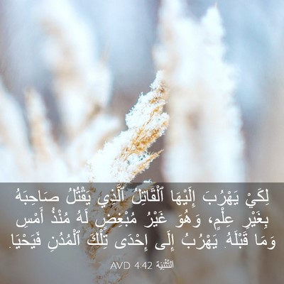 Picture 03 - اَلتَّثْنِيَة 4:42 AVD - لِكَيْ يَهْرُبَ إِلَيْهَا - Bible Verse Picture