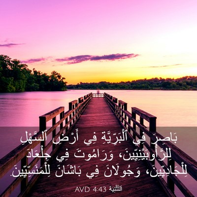 Picture 03 - اَلتَّثْنِيَة 4:43 AVD - بَاصِرَ فِي ٱلْبَرِّيَّةِ - Bible Verse Picture