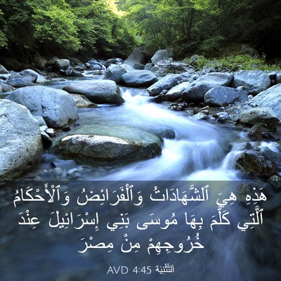 Picture 03 - اَلتَّثْنِيَة 4:45 AVD - هَذِهِ هِيَ ٱلشَّهَادَاتُ - Bible Verse Picture