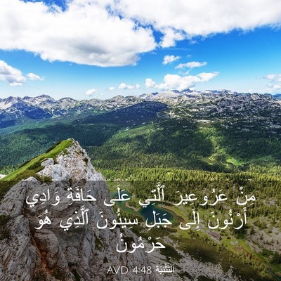 Picture 03 - اَلتَّثْنِيَة 4:48 AVD - مِنْ عَرُوعِيرَ ٱلَّتِي - Bible Verse Picture