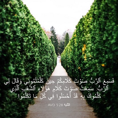 Picture 03 - اَلتَّثْنِيَة 5:28 AVD - فَسَمِعَ ٱلرَّبُّ صَوْتَ - Bible Verse Picture