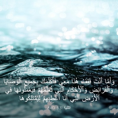Picture 03 - اَلتَّثْنِيَة 5:31 AVD - وَأَمَّا أَنْتَ فَقِفْ - Bible Verse Picture