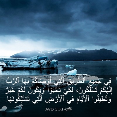 Picture 03 - اَلتَّثْنِيَة 5:33 AVD - فِي جَمِيعِ ٱلطَّرِيقِ - Bible Verse Picture