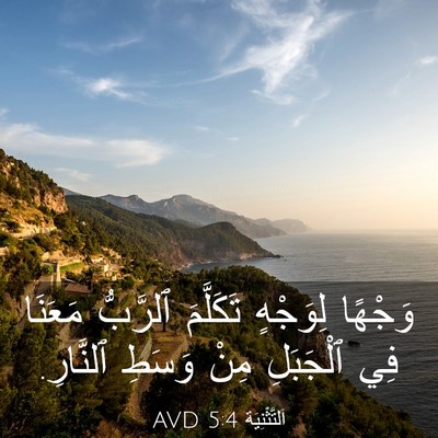 Picture 03 - اَلتَّثْنِيَة 5:4 AVD - وَجْهًا لِوَجْهٍ - Bible Verse Picture