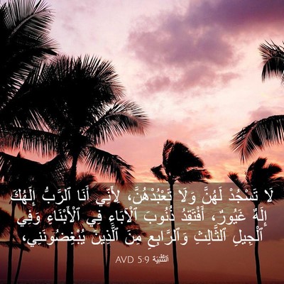 Picture 03 - اَلتَّثْنِيَة 5:9 AVD - لَا تَسْجُدْ لَهُنَّ وَلَا - Bible Verse Picture