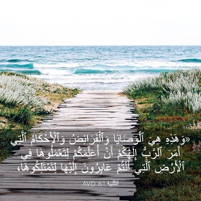 Picture 03 - اَلتَّثْنِيَة 6:1 AVD - «وَهَذِهِ هِيَ - Bible Verse Picture
