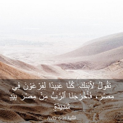 Picture 03 - اَلتَّثْنِيَة 6:21 AVD - تَقُولُ لِٱبْنِكَ: كُنَّا - Bible Verse Picture