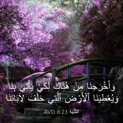 Picture 03 - اَلتَّثْنِيَة 6:23 AVD - وَأَخْرَجَنَا مِنْ - Bible Verse Picture