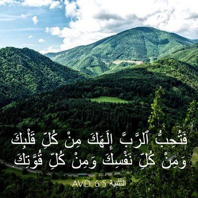 Picture 03 - اَلتَّثْنِيَة 6:5 AVD - فَتُحِبُّ ٱلرَّبَّ - Bible Verse Picture