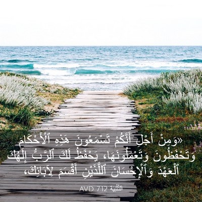 Picture 03 - اَلتَّثْنِيَة 7:12 AVD - «وَمِنْ أَجْلِ أَنَّكُمْ - Bible Verse Picture