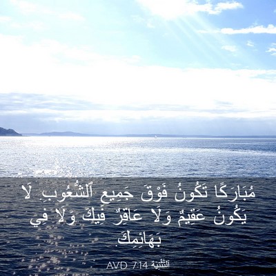Picture 03 - اَلتَّثْنِيَة 7:14 AVD - مُبَارَكًا تَكُونُ فَوْقَ - Bible Verse Picture