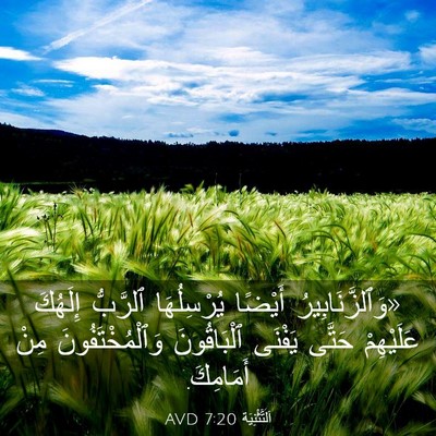 Picture 03 - اَلتَّثْنِيَة 7:20 AVD - «وَٱلزَّنَابِيرُ أَيْضًا - Bible Verse Picture