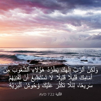 Picture 03 - اَلتَّثْنِيَة 7:22 AVD - وَلَكِنَّ ٱلرَّبَّ - Bible Verse Picture