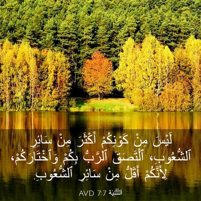 Picture 03 - اَلتَّثْنِيَة 7:7 AVD - لَيْسَ مِنْ كَوْنِكُمْ - Bible Verse Picture