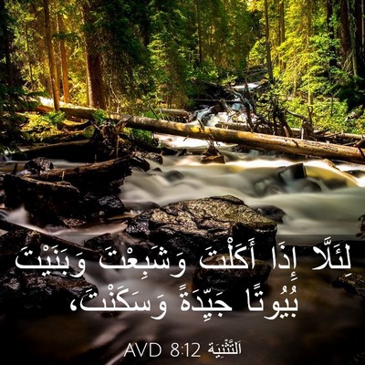 Picture 03 - اَلتَّثْنِيَة 8:12 AVD - لِئَلَّا إِذَا أَكَلْتَ - Bible Verse Picture