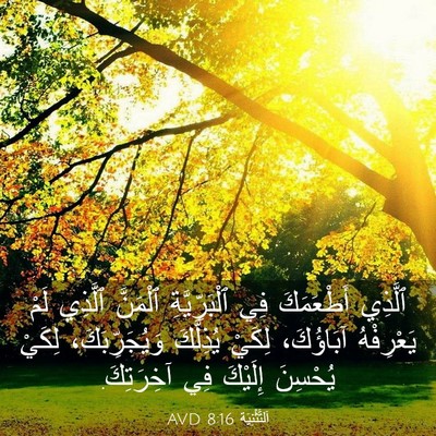Picture 03 - اَلتَّثْنِيَة 8:16 AVD - ٱلَّذِي أَطْعَمَكَ فِي - Bible Verse Picture
