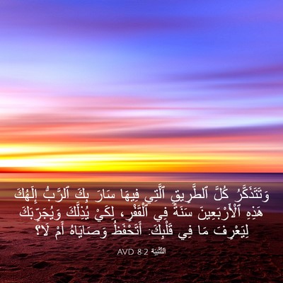Picture 03 - اَلتَّثْنِيَة 8:2 AVD - وَتَتَذَكَّرُ كُلَّ - Bible Verse Picture