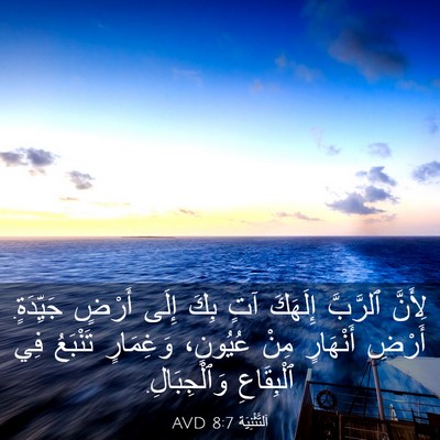 Picture 03 - اَلتَّثْنِيَة 8:7 AVD - لِأَنَّ ٱلرَّبَّ إِلَهَكَ - Bible Verse Picture