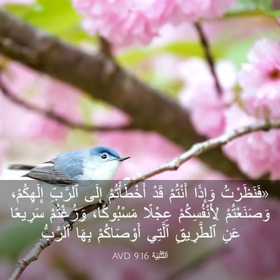 Picture 03 - اَلتَّثْنِيَة 9:16 AVD - «فَنَظَرْتُ وَإِذَا - Bible Verse Picture