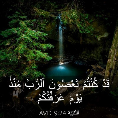 Picture 03 - اَلتَّثْنِيَة 9:24 AVD - قَدْ كُنْتُمْ تَعْصُونَ - Bible Verse Picture
