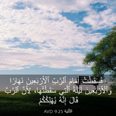 Picture 03 - اَلتَّثْنِيَة 9:25 AVD - «فَسَقَطْتُ أَمَامَ - Bible Verse Picture