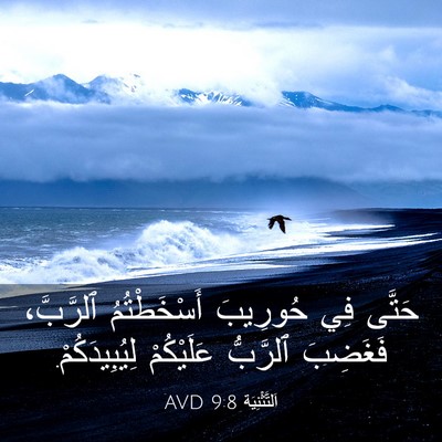 Picture 03 - اَلتَّثْنِيَة 9:8 AVD - حَتَّى فِي حُورِيبَ - Bible Verse Picture