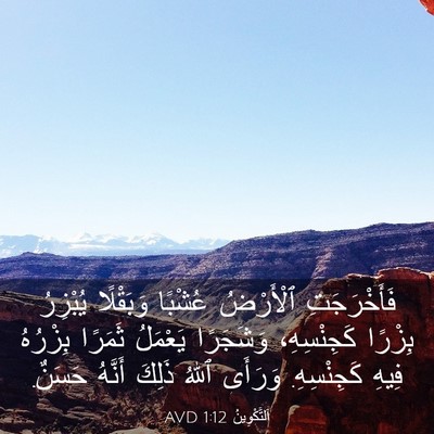 Picture 03 - اَلتَّكْوِينُ 1:12 AVD - فَأَخْرَجَتِ ٱلْأَرْضُ - Bible Verse Picture