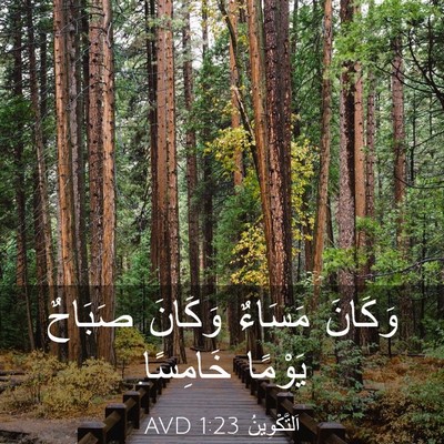 Picture 03 - اَلتَّكْوِينُ 1:23 AVD - وَكَانَ مَسَاءٌ وَكَانَ - Bible Verse Picture
