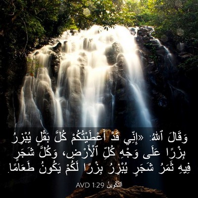 Picture 03 - اَلتَّكْوِينُ 1:29 AVD - وَقَالَ ٱللهُ: «إِنِّي - Bible Verse Picture
