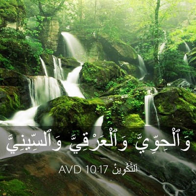 Picture 03 - اَلتَّكْوِينُ 10:17 AVD - وَٱلْحِوِّيَّ - Bible Verse Picture