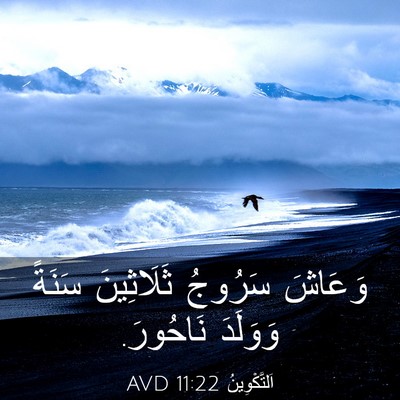 Picture 03 - اَلتَّكْوِينُ 11:22 AVD - وَعَاشَ سَرُوجُ - Bible Verse Picture