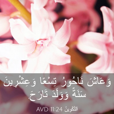Picture 03 - اَلتَّكْوِينُ 11:24 AVD - وَعَاشَ نَاحُورُ تِسْعًا - Bible Verse Picture