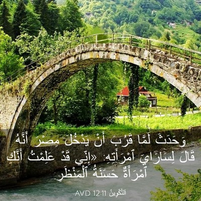Picture 03 - اَلتَّكْوِينُ 12:11 AVD - وَحَدَثَ لَمَّا قَرُبَ - Bible Verse Picture