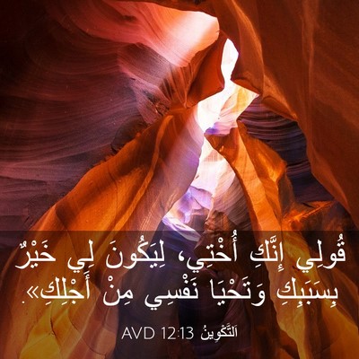 Picture 03 - اَلتَّكْوِينُ 12:13 AVD - قُولِي إِنَّكِ أُخْتِي، - Bible Verse Picture