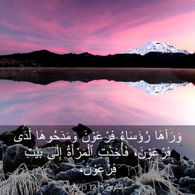 Picture 03 - اَلتَّكْوِينُ 12:15 AVD - وَرَآهَا رُؤَسَاءُ - Bible Verse Picture