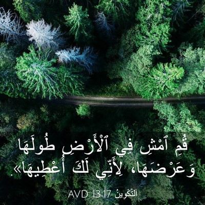 Picture 03 - اَلتَّكْوِينُ 13:17 AVD - قُمِ ٱمْشِ فِي ٱلْأَرْضِ - Bible Verse Picture