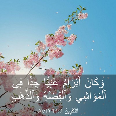Picture 03 - اَلتَّكْوِينُ 13:2 AVD - وَكَانَ أَبْرَامُ - Bible Verse Picture
