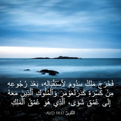 Picture 03 - اَلتَّكْوِينُ 14:17 AVD - فَخَرَجَ مَلِكُ سَدُومَ - Bible Verse Picture