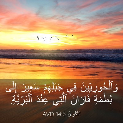 Picture 03 - اَلتَّكْوِينُ 14:6 AVD - وَٱلْحُورِيِّينَ فِي - Bible Verse Picture
