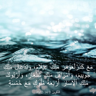Picture 03 - اَلتَّكْوِينُ 14:9 AVD - مَعَ كَدَرْلَعَوْمَرَ - Bible Verse Picture