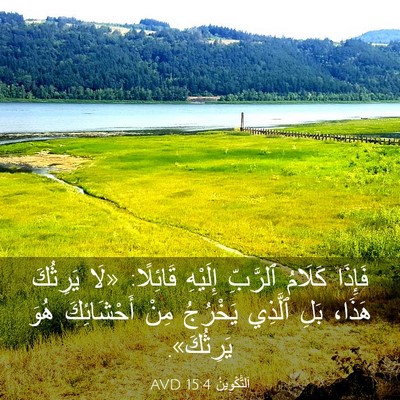Picture 03 - اَلتَّكْوِينُ 15:4 AVD - فَإِذَا كَلَامُ ٱلرَّبِّ - Bible Verse Picture