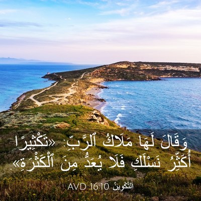 Picture 03 - اَلتَّكْوِينُ 16:10 AVD - وَقَالَ لَهَا مَلَاكُ - Bible Verse Picture