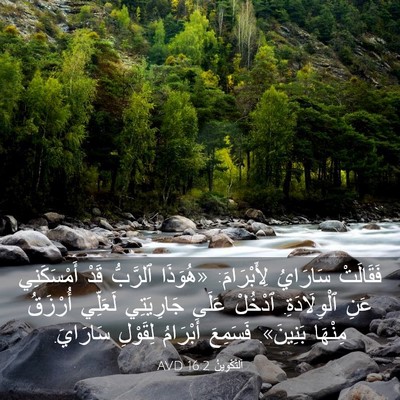 Picture 03 - اَلتَّكْوِينُ 16:2 AVD - فَقَالَتْ سَارَايُ - Bible Verse Picture